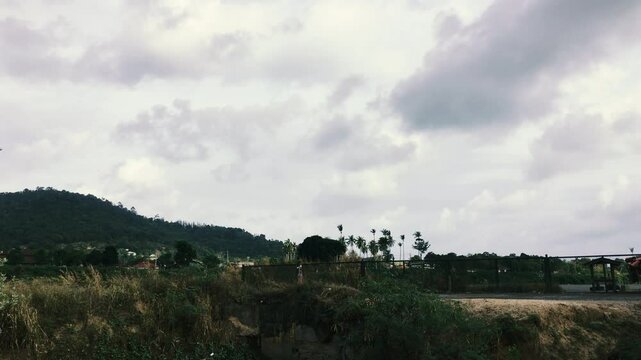 The plane lands at the airport of a tropical island