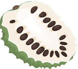 Half Cut Soursop Illustration