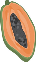 Half Cut Papaya Illustration