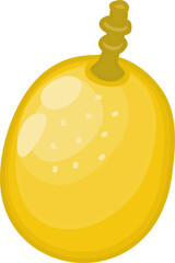 Yellow Passion Fruit Illustration