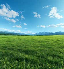Obraz premium Expansive green meadow under a clear blue sky with fluffy white clouds and distant mountain range creating a serene natural landscape ideal for outdoor lovers