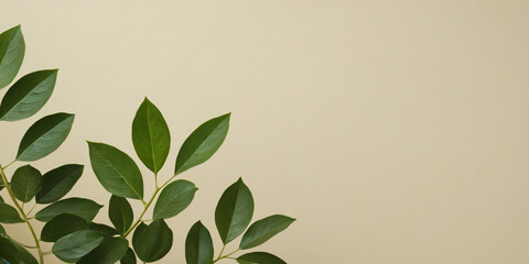 background with green leaves