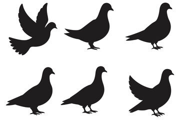 dove vector silhouette design