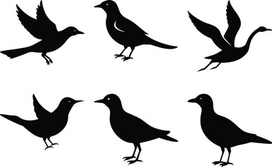 Bird Silhouettes Vector: Flying, Standing Bird Illustrations, Black and White Graphic Design Elements for Nature & Wildlife Projects