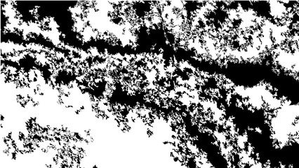 Fototapeta premium Abstract Black and White Pattern Resembling Fractal Nature Design