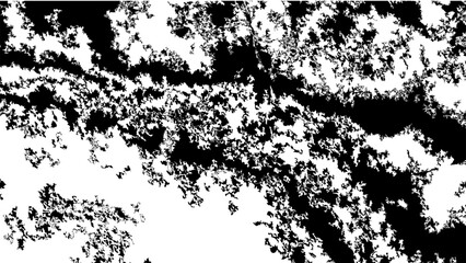 Obraz premium Abstract Black and White Pattern Resembling Fractal Nature Design