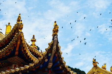 Autumn scenery of Labrang Monastery in Gannan, Gansu Province, China