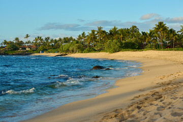 Idyllic Hawaii beach at sunset: golden hour paradise with palm trees, ocean waves, and tranquil coast.