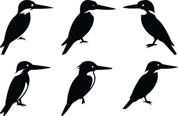 Obraz premium Kingfisher Bird Silhouettes: Black and White Vector Illustration of Belted Kingfishers in Various Poses for Graphic Design and Wildlife Art
