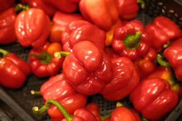 Colorful juicy red bell peppers (Capsicum annuum) or sweet pepper, on the counter of a vegetable shop in plastic container, close-up.