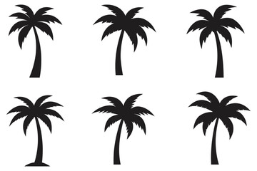 palm tree vector silhouette