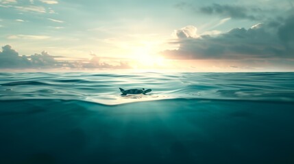 Obraz premium A serene ocean landscape with a sea turtle floating peacefully in the distance