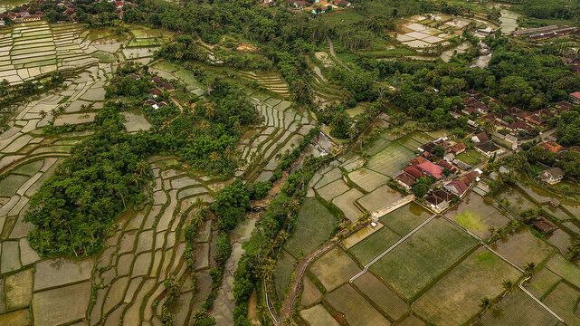 Full frame aerial view of Rice fields, Ciletuh-Palabuhanratu Geopark, Pelabuhan Ratu, Sukabumi Regency, West Java, Indonesia