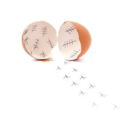 Chicken traces from an egg.