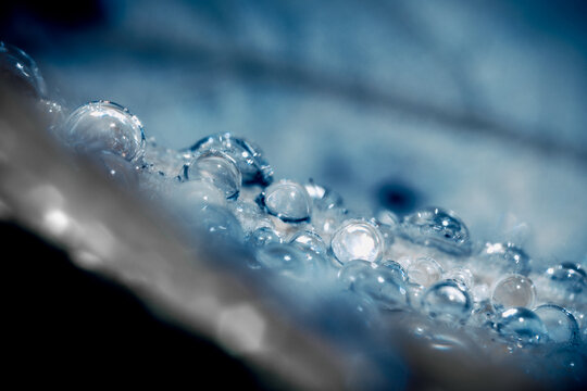 Close-up full frame macro shot of water droplets - Powered by Adobe