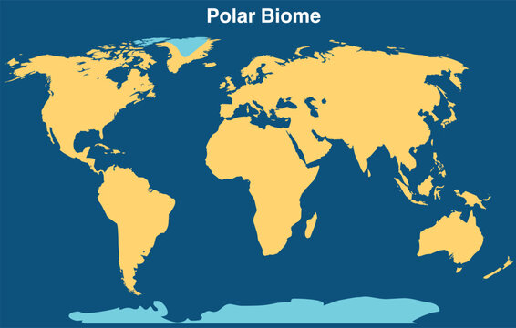 Polar biome map, poles location. Arctic, antarctic tundra regions. Greenland, north and south poles. Yellow areas. Cold, ice earth climate. Vector