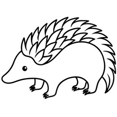 One-Line Echidna Simple Vector Art