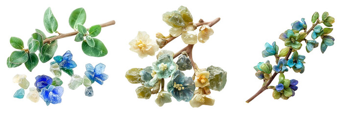 Set of a branch with leaves and blue stones, Frankincense flower with green and blue isolated on a transparent background