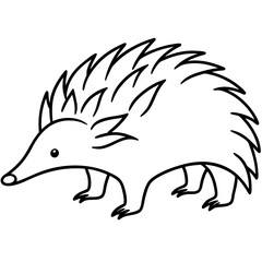 One-Line Echidna Simple Vector Art
