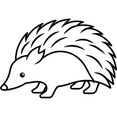 One-Line Echidna Simple Vector Art