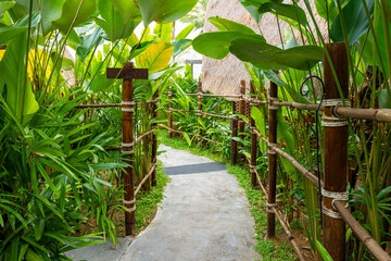 Walkway with green tree in resort
