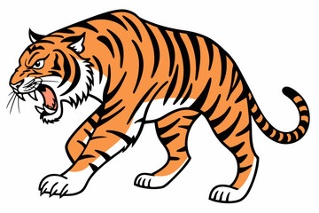 Obraz premium Angry hunting tiger on white white background