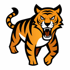 Obraz premium Angry hunting tiger on white white background