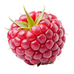 raspberry on white background
