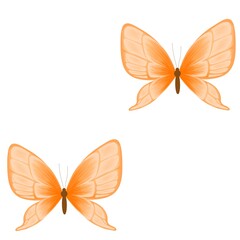Butterfly seamless pattern element