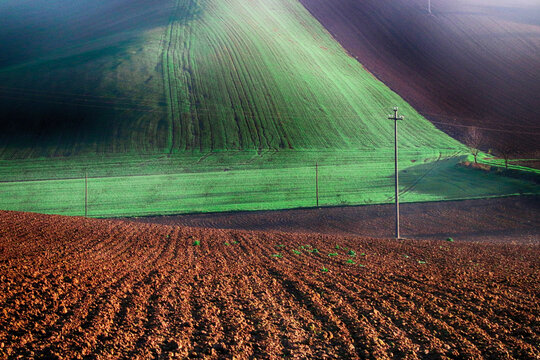 Assorted cultivated fields, Monferrato, Colline Valle San Bartolomeo, Alessandria, Piedmont, Italy