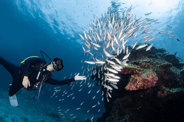 Fototapety na wymiar - Fototapeta24.pl
