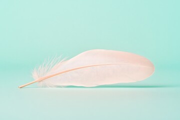 solitary white feather gently resting on pale pastel background represents purity and simplicity