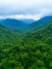Fototapeta premium Lush green mountain valley shrouded in mist