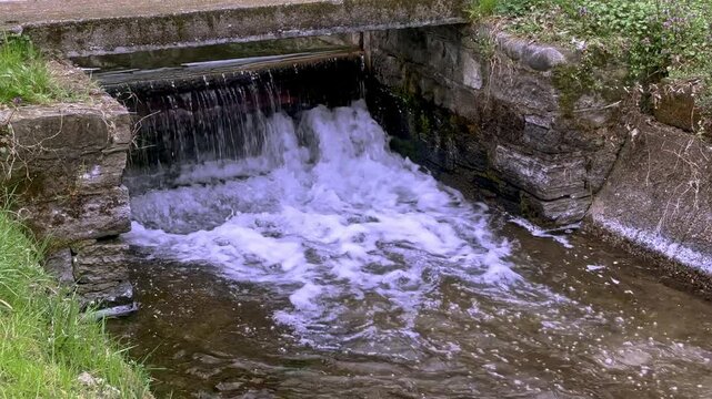 ruscello in campagna con piccola cascata 