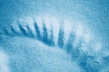 Bird wing mark on snow. Crow was cleaning its wings. Natural texture. Nature. Winter. Blur.