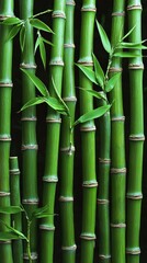 Fototapeta premium A close-up of a bunch of freshly cut bamboo stalks displaying their natural green color