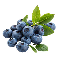 Fototapeta premium fresh blueberries with leaves isolated