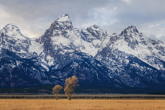 Grand Tetons