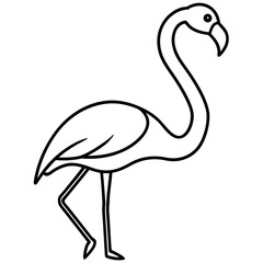 Simple Flamingo Line Illustration