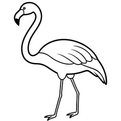 Simple Flamingo Line Illustration