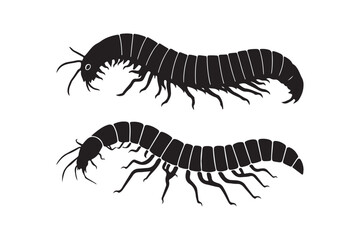 Centipede and Millipede Silhouette Vector Illustration