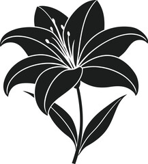 Elegant Lily Flower Silhouette - Spring Floral Vector Illustration