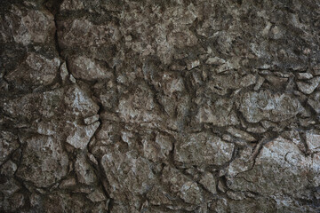 Ancient wall texture background with old stone bricks