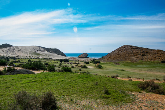 Scenic Landscape with Rolling Hills, Green Fields, and Ocean View