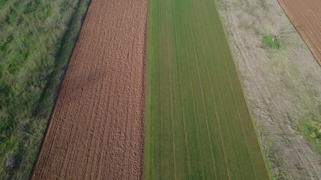 Pianura Padana, con i colori dei campi seminati e incolti in provincia di  Alessandria, Piemonte, Italia(drone)