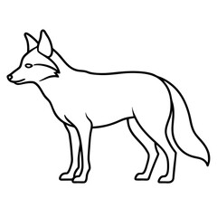Single Line Coyote Elegant Vector Design