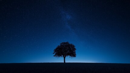 A minimalist image of a single tree silhouetted against a vast, starry night sky 