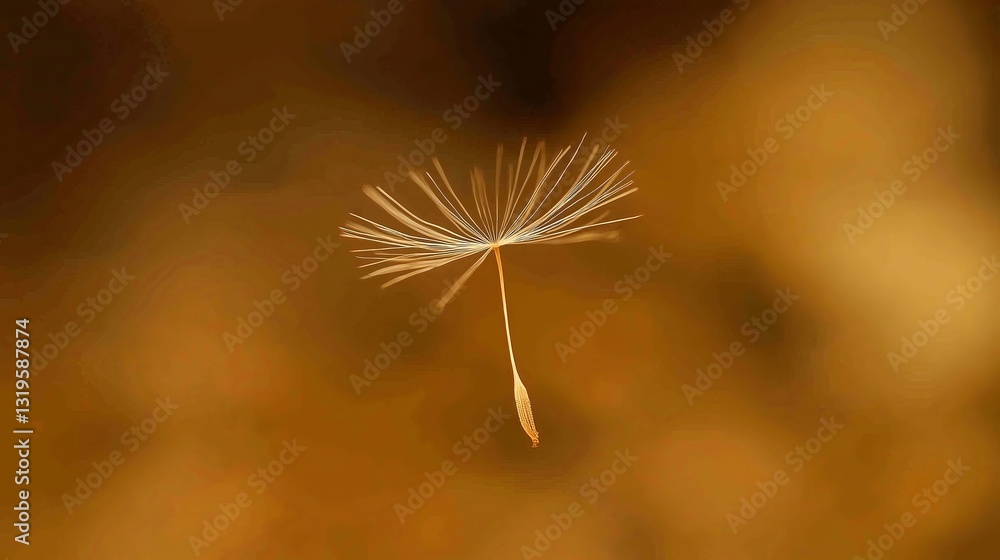 Poster a single dandelion seed floating in the air, with a blurred background