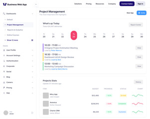 Business, Sales Project,  Log in & Sign in,Reports & Analytics Dashboard Web App CMS UI Kit Template