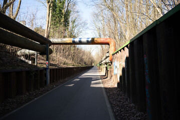 arvore tree Ruhrgebiet germany